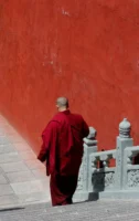 A Buddhist monk in a - Credits: pexels