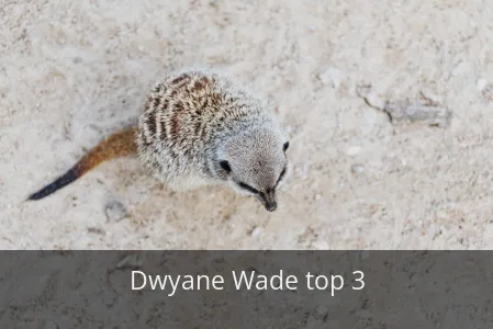 Dwyane Wade top 3