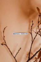 Aesthetic minimalist image featuring branches - Credits: pexels