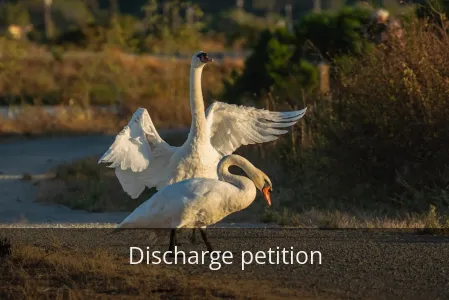 Discharge petition