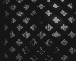 A captivating view of a - Credits: pexels