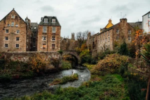 Free stock photo of autumn, - Credits: pexels
